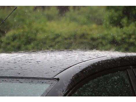 Preço de Calhas de Chuva Automotiva em Hugo Lange